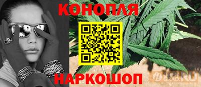 прущие грибы Гусь-Хрустальный